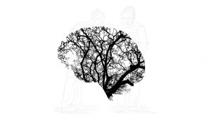 parkinson brain white background