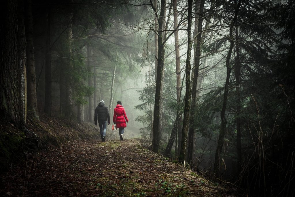 Par som tar promenad i skogen