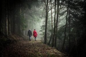 Par som tar promenad i skogen